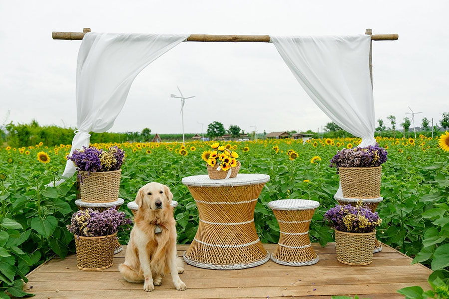 ที่เที่ยวกาญจนบุรี