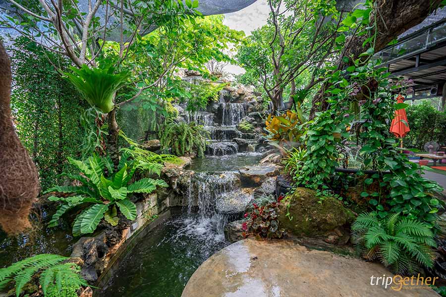 10 ร้านอาหาร คาเฟ่ พุทธมณฑล บรรยากาศชิลล์ แถมอร่อยด้วย