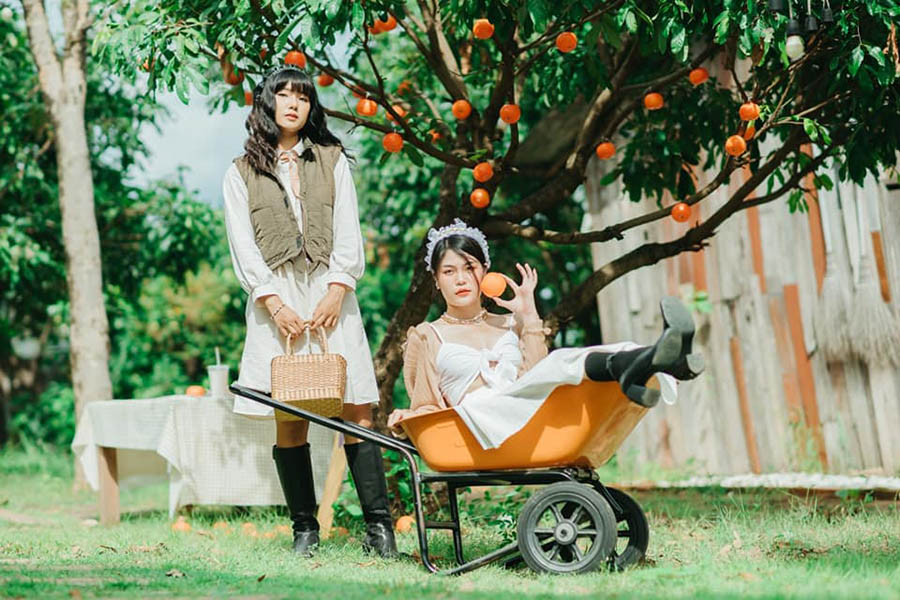 5 สวนส้มเชียงใหม่ แลนด์มาร์คใหม่ ถ่ายรูปสวย