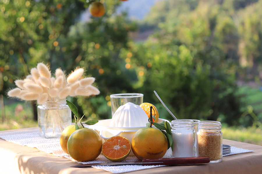 5 สวนส้มเชียงใหม่ แลนด์มาร์คใหม่ ถ่ายรูปสวย