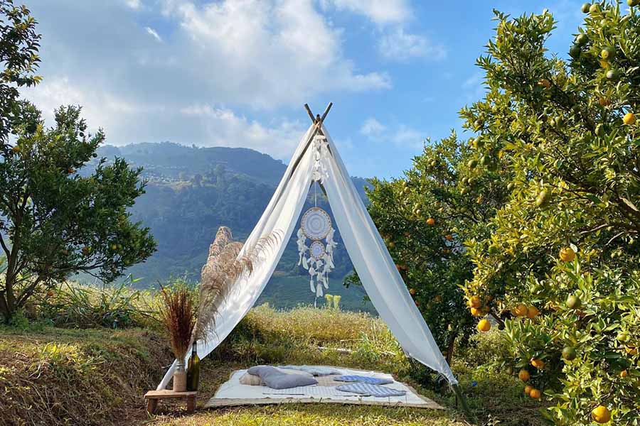 5 สวนส้มเชียงใหม่ แลนด์มาร์คใหม่ ถ่ายรูปสวย