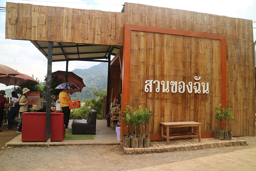 5 สวนส้มเชียงใหม่ แลนด์มาร์คใหม่ ถ่ายรูปสวย