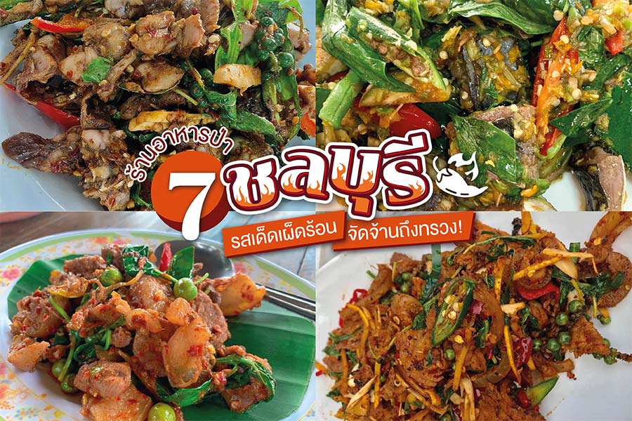 อาหารป่า