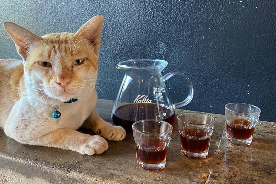 ร้านน่านั่งสัตหีบ