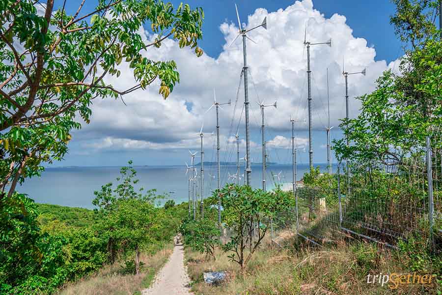 จุดเช็คอินกังหันลม