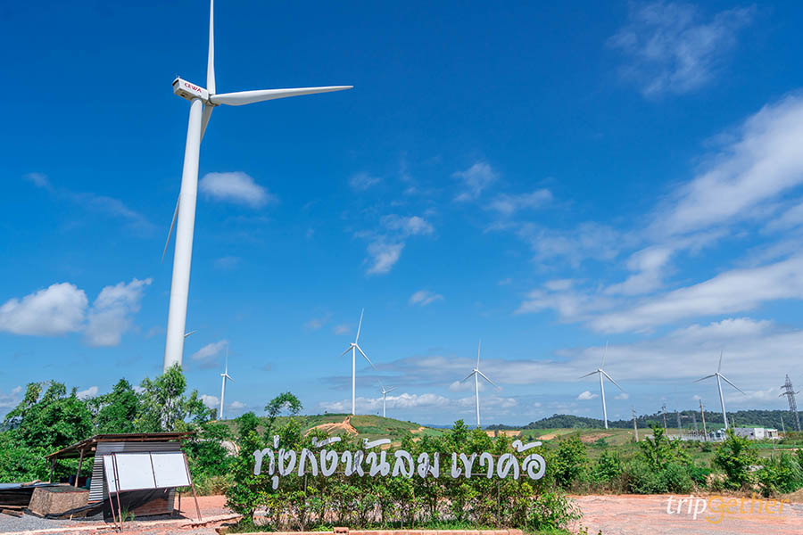 ทุ่งกังหันลม