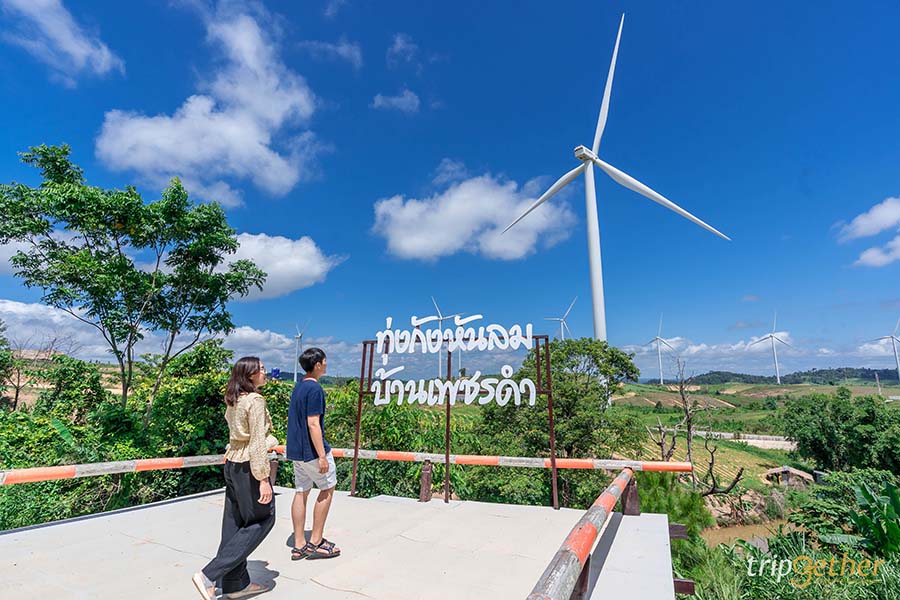 ทุ่งกังหันลม