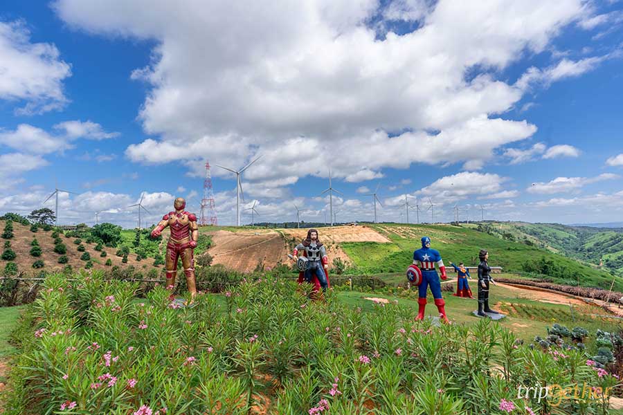 ทุ่งกังหันลม