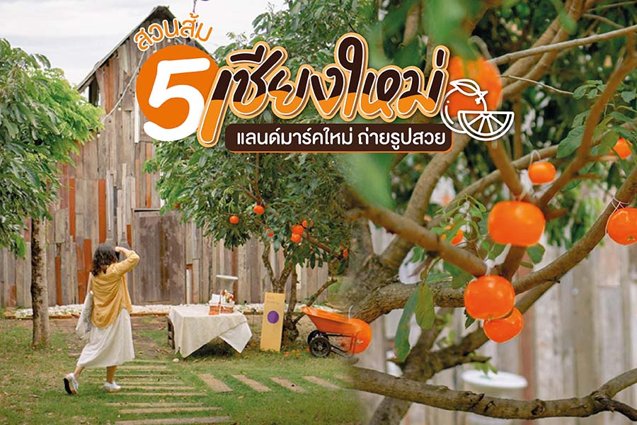 5 สวนส้มเชียงใหม่ แลนด์มาร์คใหม่ ถ่ายรูปสวย