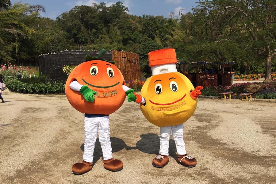 5 สวนส้มเชียงใหม่ แลนด์มาร์คใหม่ ถ่ายรูปสวย