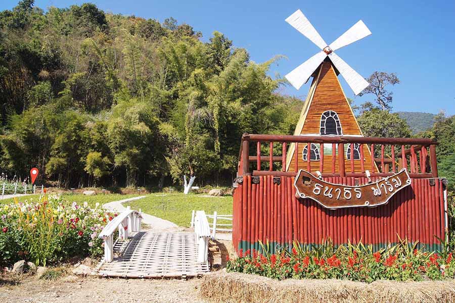 5 สวนส้มเชียงใหม่ แลนด์มาร์คใหม่ ถ่ายรูปสวย