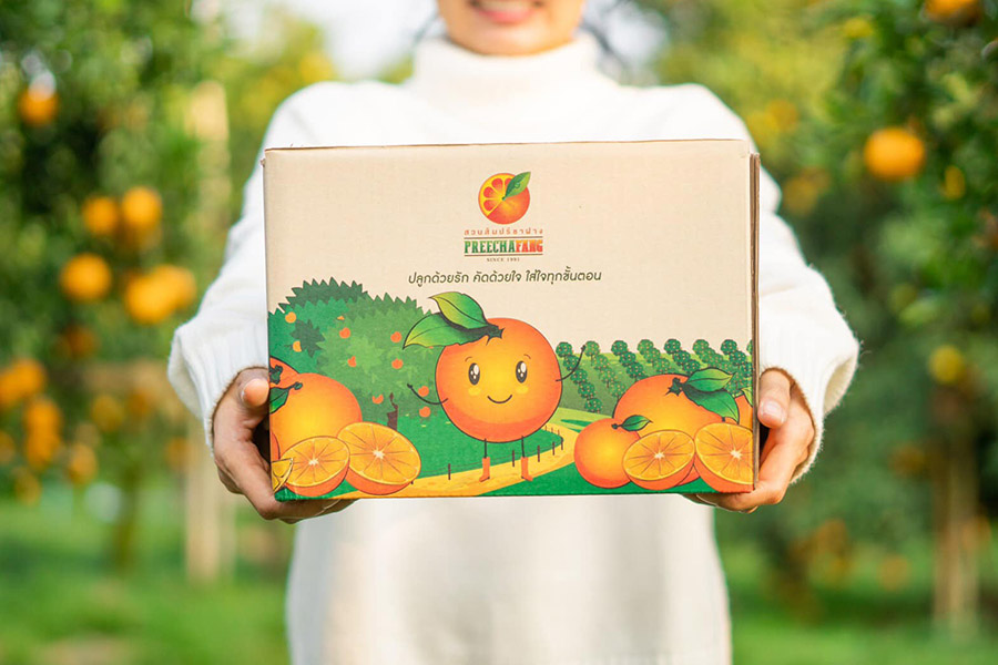 5 สวนส้มเชียงใหม่ แลนด์มาร์คใหม่ ถ่ายรูปสวย