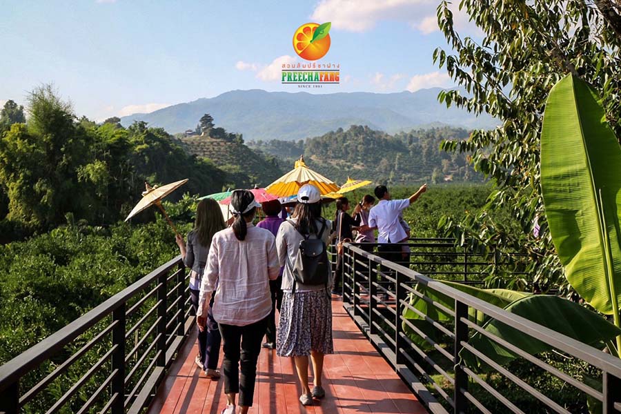 5 สวนส้มเชียงใหม่ แลนด์มาร์คใหม่ ถ่ายรูปสวย