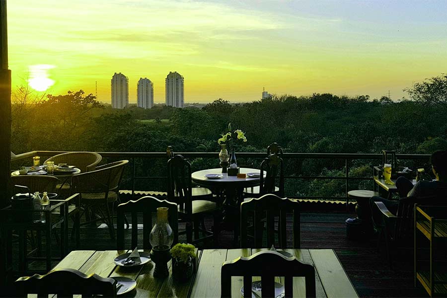 อาหารป่า