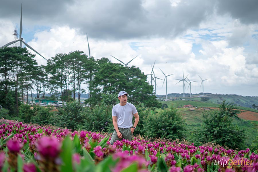 จุดเช็คอินสวย