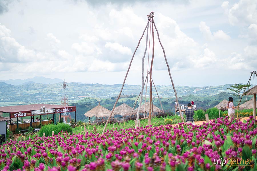 จุดเช็คอินสวย