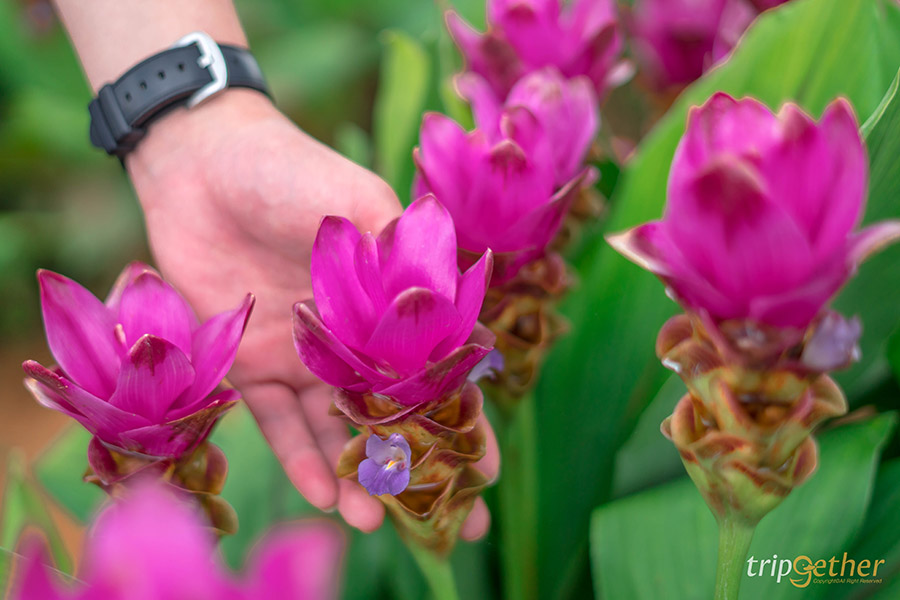 จุดเช็คอินสวย