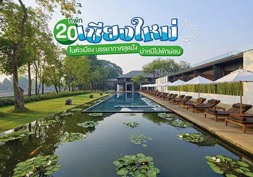 20 ที่พักเชียงใหม่ในตัวเมือง บรรยากาศสุดปังน่าหนีไปพักผ่อน