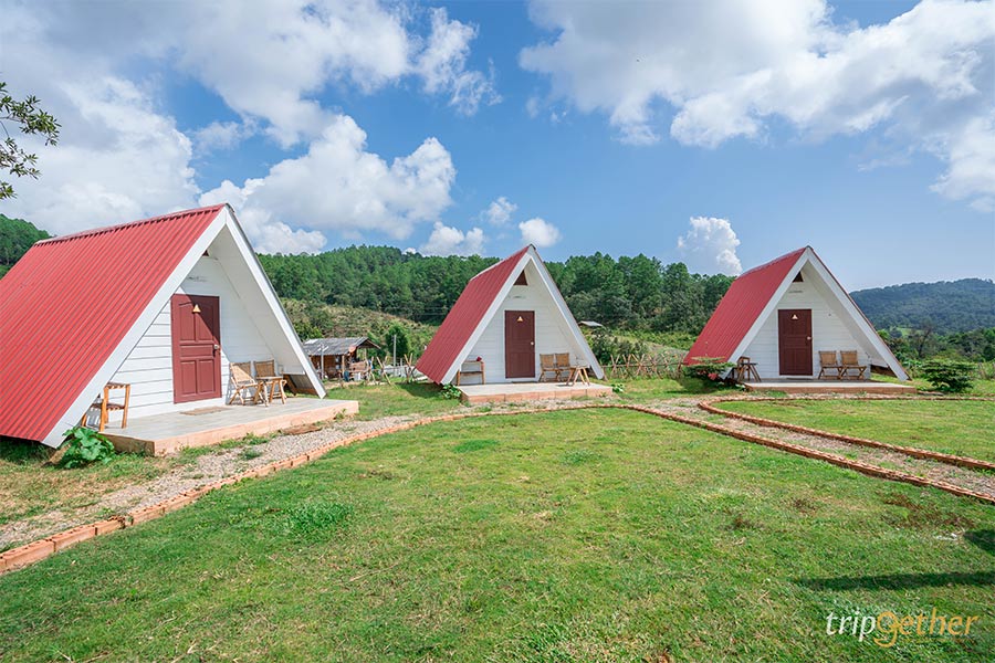 ที่พักกลางธรรมชาติ