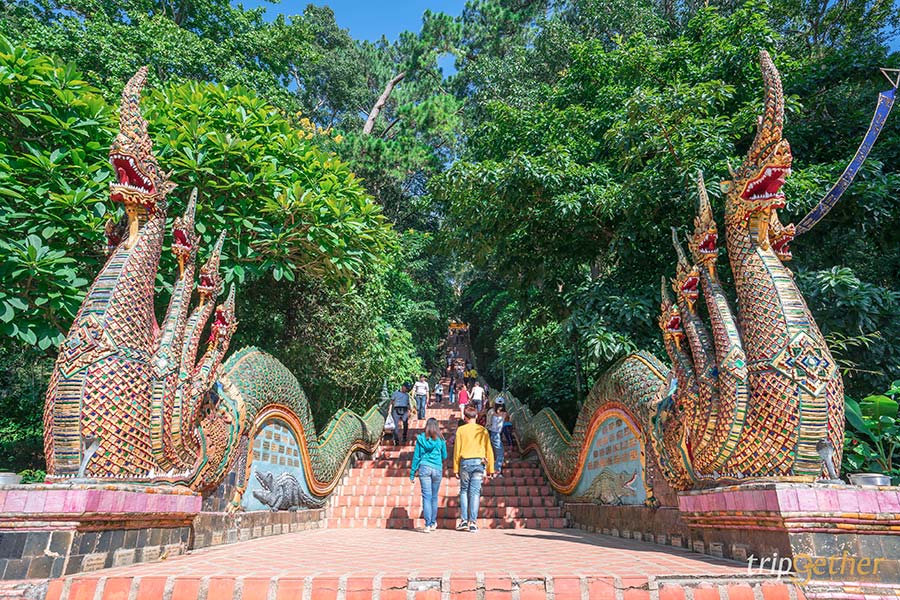 ปักหมุด 9 วัดพระธาตุสวย วิวปัง เอาใจคนชอบแชร์