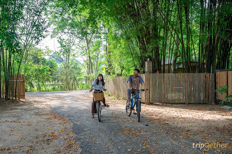 12 ที่พักปากช่อง-เขาใหญ่-วังน้ำเขียวบรรยากาศดี นอนชิลล์ใกล้ชิดธรรมชาติ!