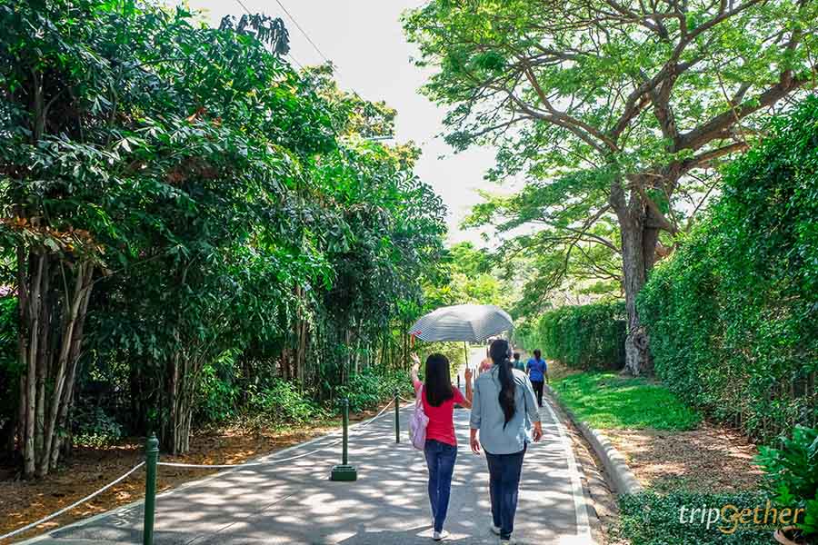 ที่เที่ยวธรรมชาติ