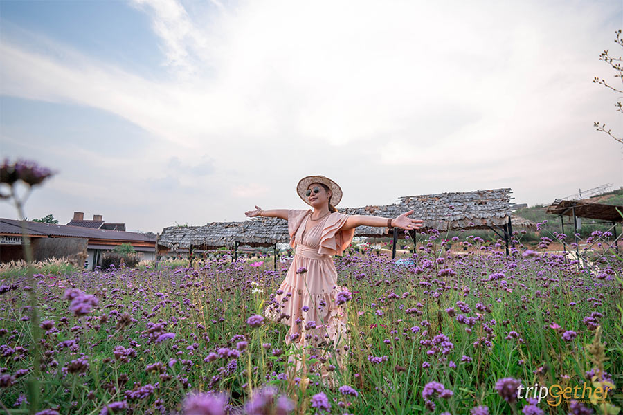 12 ที่พักปากช่อง-เขาใหญ่-วังน้ำเขียวบรรยากาศดี นอนชิลล์ใกล้ชิดธรรมชาติ!