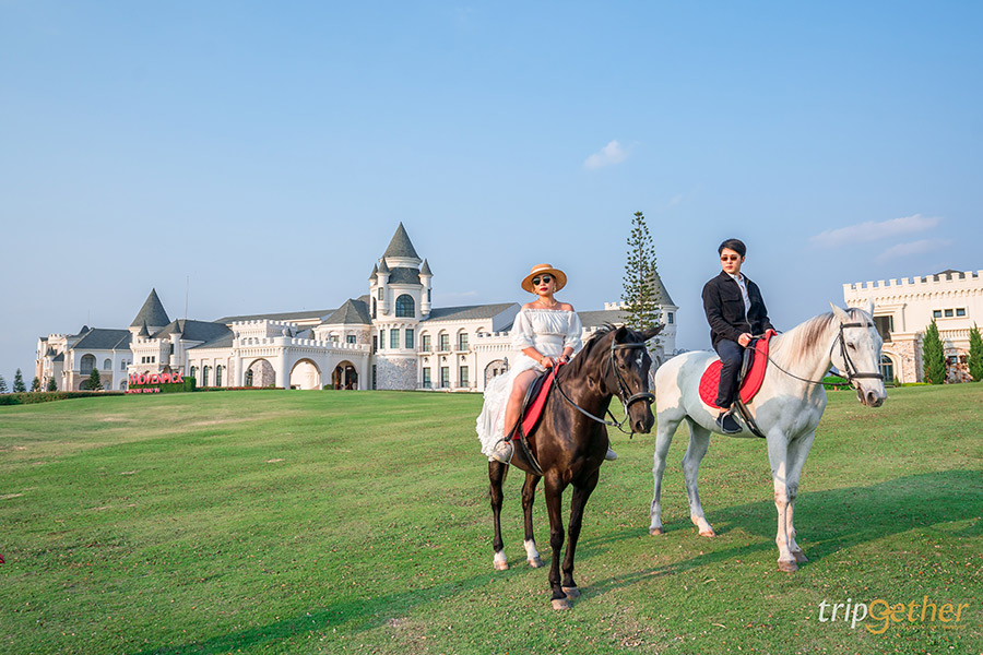 12 ที่พักปากช่อง-เขาใหญ่-วังน้ำเขียวบรรยากาศดี นอนชิลล์ใกล้ชิดธรรมชาติ!