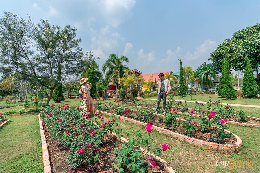 12 ที่พักปากช่อง-เขาใหญ่-วังน้ำเขียวบรรยากาศดี นอนชิลล์ใกล้ชิดธรรมชาติ!