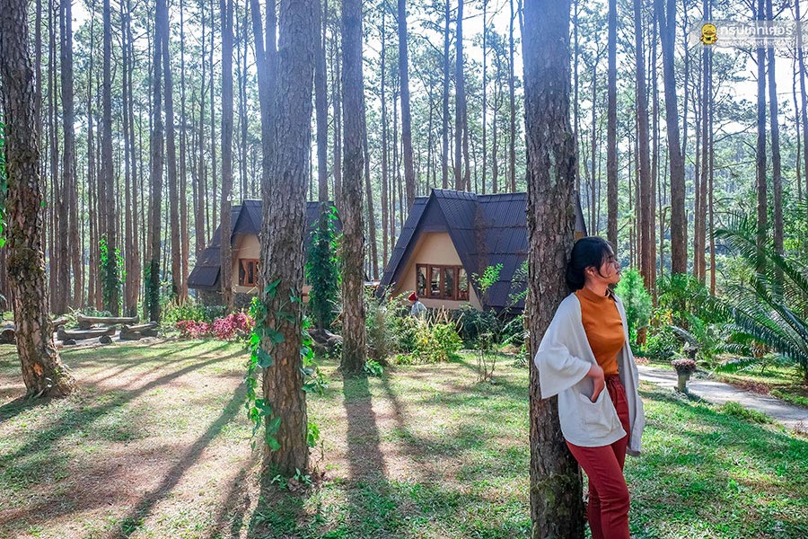 ที่พักสไตล์นอร์ดิก