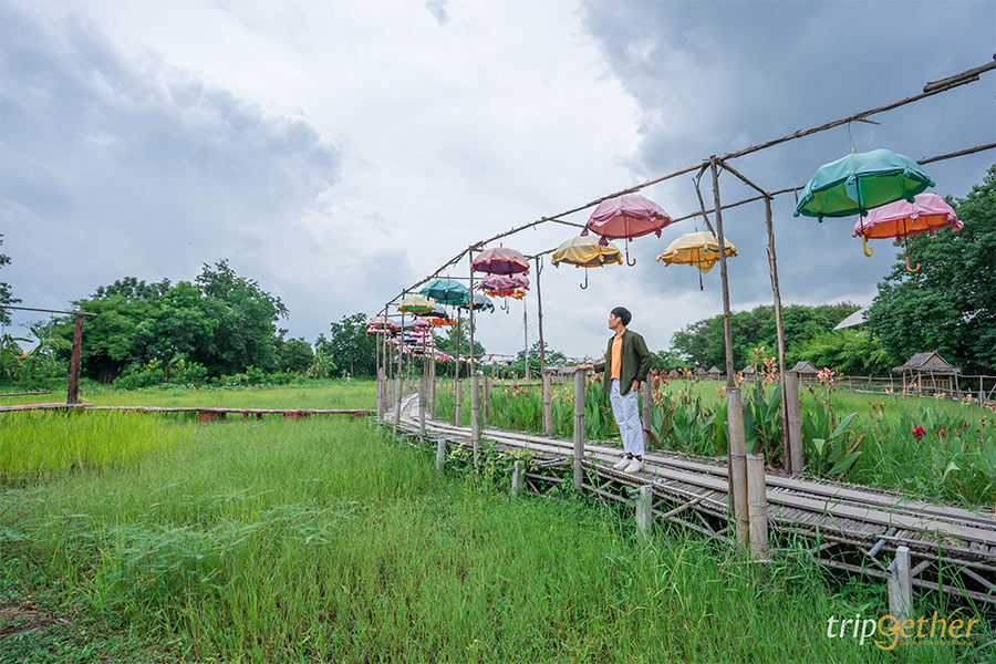 ฟาร์มใกล้กรุง