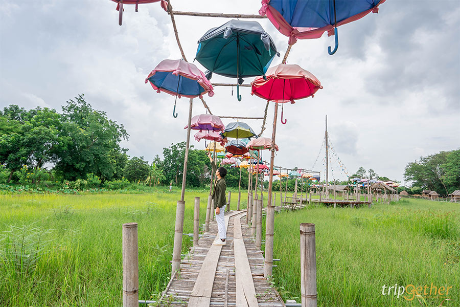 ที่เที่ยวธรรมชาติ