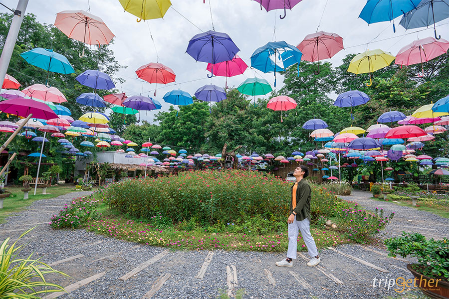 ที่เที่ยวธรรมชาติ