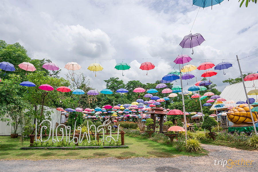 ที่เที่ยวธรรมชาติ