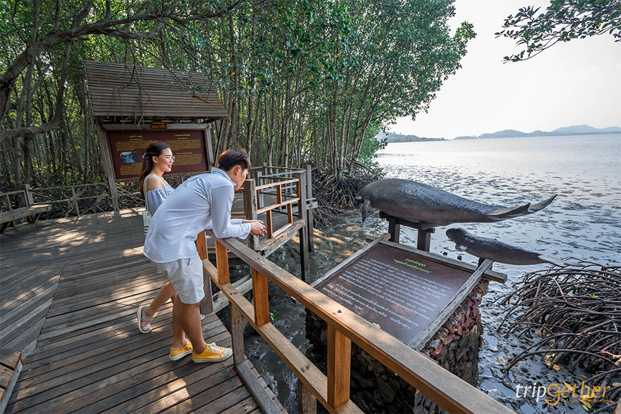 ป่าชายเลน