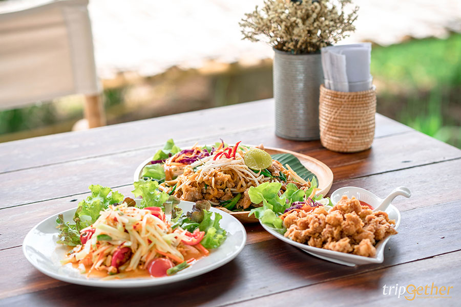 12 จุดเช็คอิน เขาใหญ่-วังน้ำเขียว ชวนกันไปชิลล์ กินเที่ยวกันได้ทั้งปี