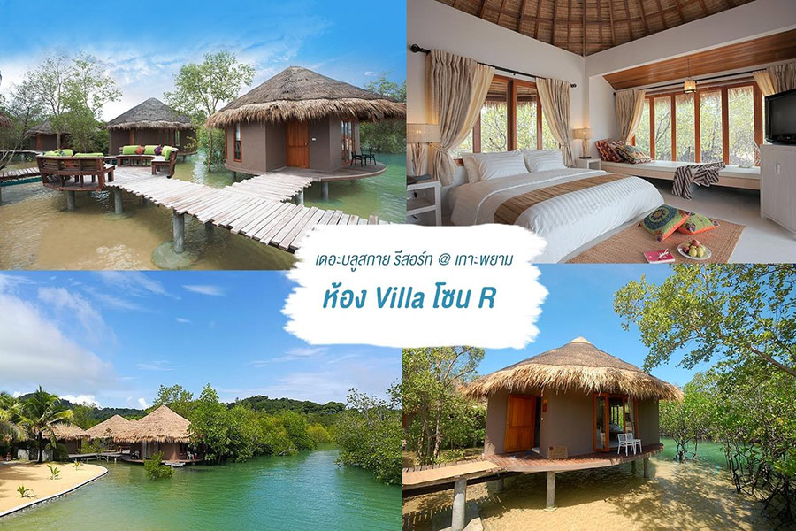 15 ที่พักมีสะพานยื่นไปในทะเล บรรยากาศดีต่อใจ มุมถ่ายรูปสวยปัง!