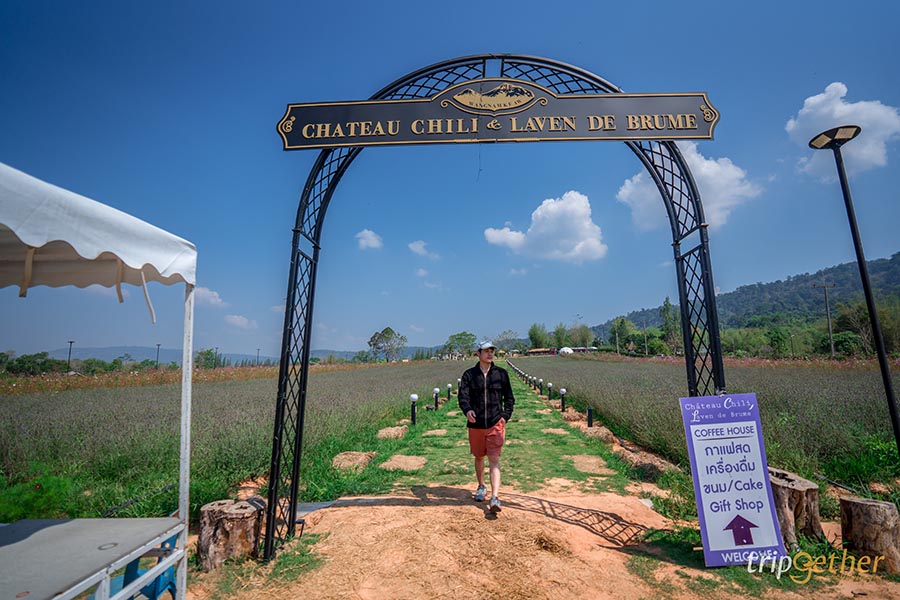 12 จุดเช็คอิน เขาใหญ่-วังน้ำเขียว ชวนกันไปชิลล์ กินเที่ยวกันได้ทั้งปี