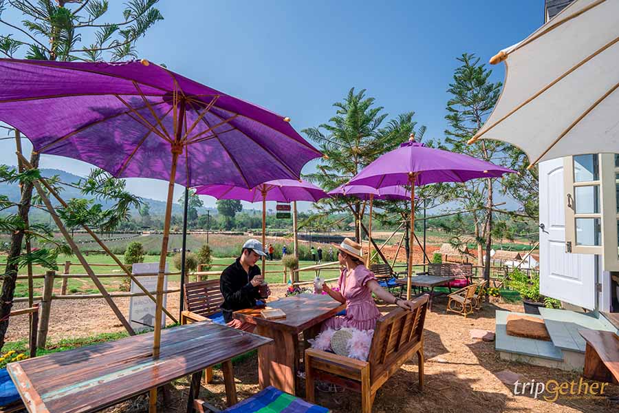 12 จุดเช็คอิน เขาใหญ่-วังน้ำเขียว ชวนกันไปชิลล์ กินเที่ยวกันได้ทั้งปี