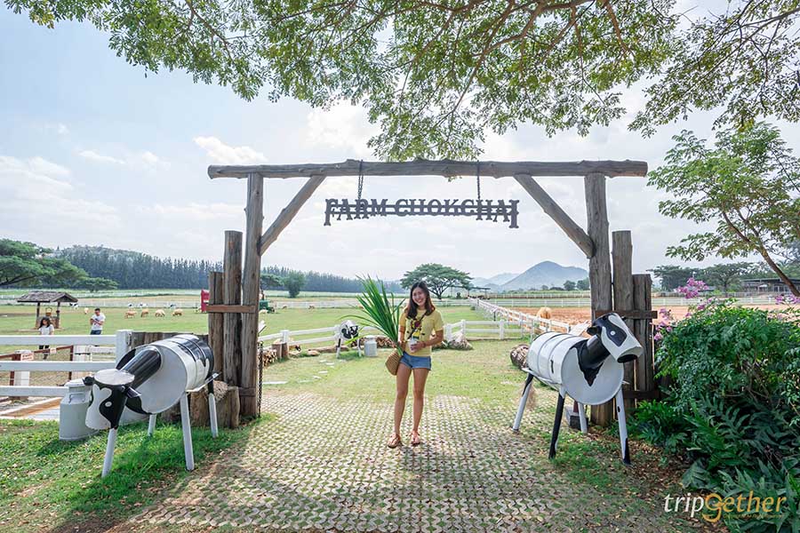 12 จุดเช็คอิน เขาใหญ่-วังน้ำเขียว ชวนกันไปชิลล์ กินเที่ยวกันได้ทั้งปี