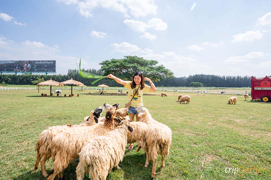 12 จุดเช็คอิน เขาใหญ่-วังน้ำเขียว ชวนกันไปชิลล์ กินเที่ยวกันได้ทั้งปี