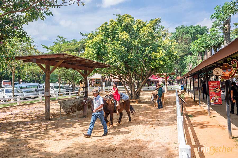 12 จุดเช็คอิน เขาใหญ่-วังน้ำเขียว ชวนกันไปชิลล์ กินเที่ยวกันได้ทั้งปี