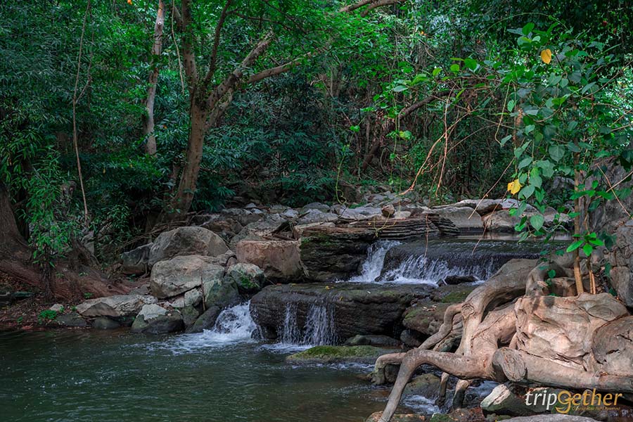 ลำตะคอง