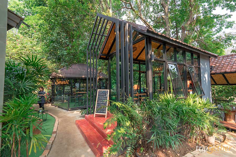 คาเฟ่กลางป่า