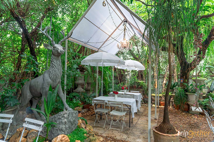 คาเฟ่จิบชาในสวน