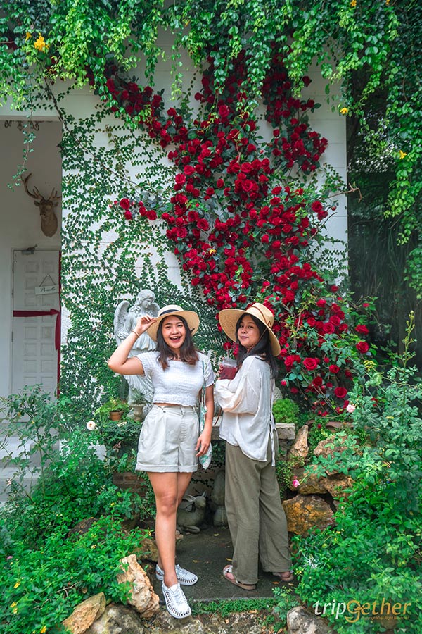 คาเฟ่ระยอง