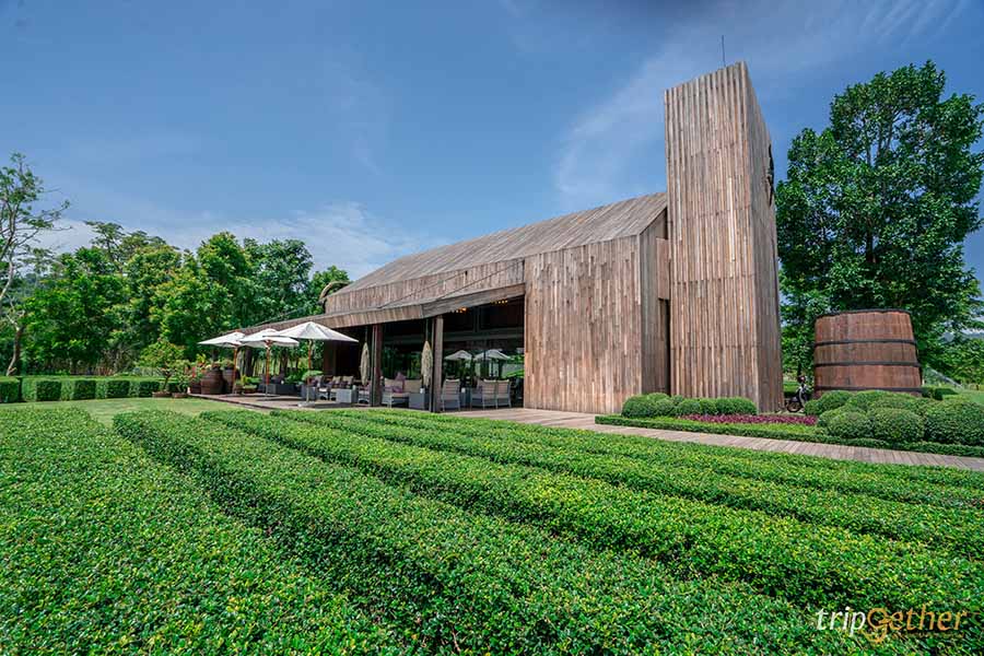 12 จุดเช็คอิน เขาใหญ่-วังน้ำเขียว ชวนกันไปชิลล์ กินเที่ยวกันได้ทั้งปี