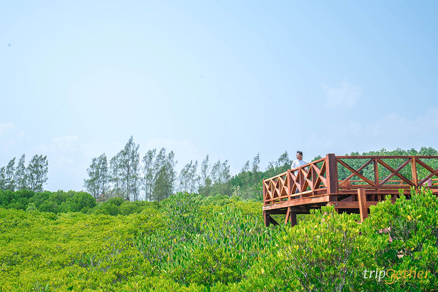 ทุ่งโปรงทอง