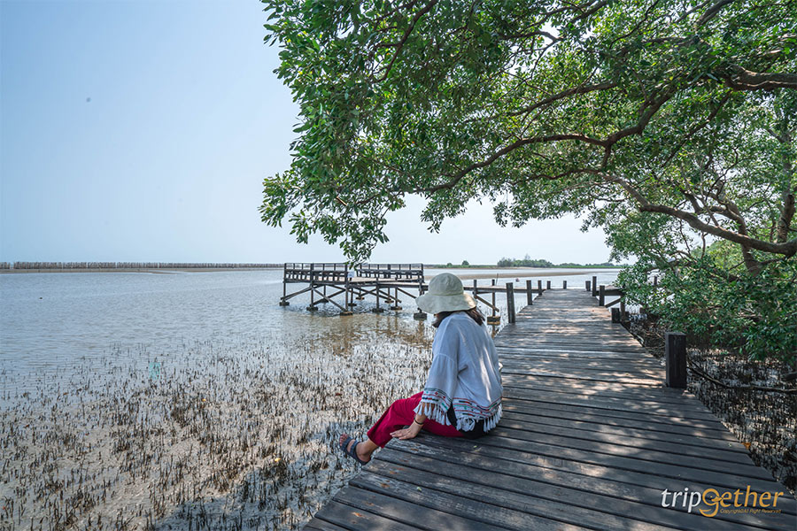 ทุ่งโปรงทอง