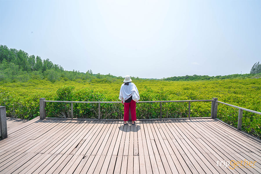 ที่เที่ยวใกล้กรุง